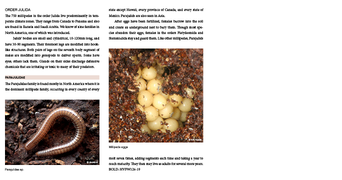 File:VS.org sample landing 2.png